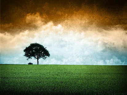 ธงธงอินเดียอินเดีย, วอลล์เปเปอร์ HD HD wallpaper