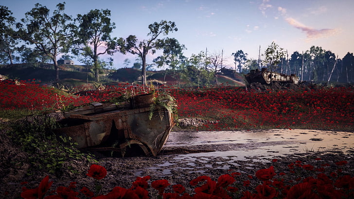 Battlefield ، Battlefield 1 ، Flower ، Poppy ، Red Flower، خلفية HD