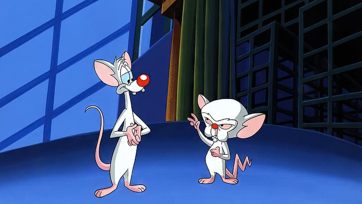 Pinky and the Brain, animation, cartoon, animated series, production cel, mouse (animal), HD wallpaper