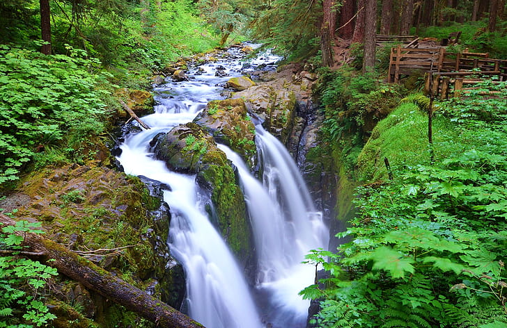 forest, trees, river, waterfall, stream, USA, Washington, Olympic National Park, Sol Duc Falls, HD wallpaper