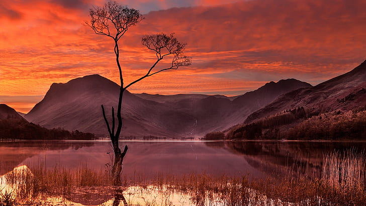 reflexión, cielo rojo, árbol solitario, amanecer, lago, cielo rojo en la mañana, lago de montaña, mañana, árbol solitario, montaña, Fondo de pantalla HD