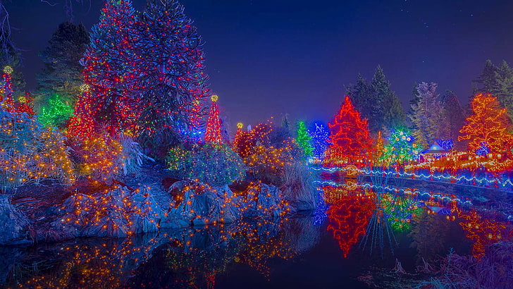 alberi, luci, vacanza, Canada, Natale, Vancouver, giardino botanico, festival delle luci, VanDusen Botanical Garden, spina, Sfondo HD