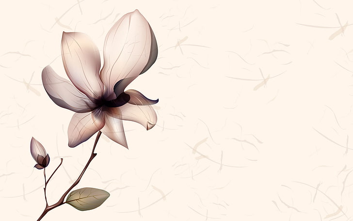 ilustrasi magnolia abu-abu, bunga, cerah, berkilau, menggambar, Wallpaper HD
