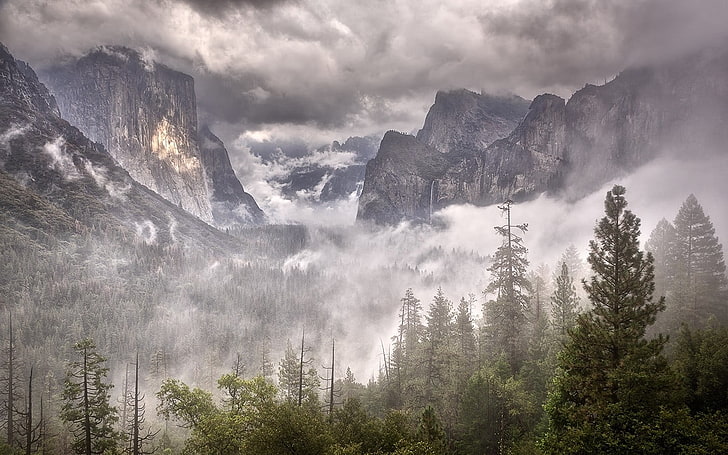 zielone drzewa liściaste, przyroda, krajobraz, góry, las, mgła, światło dzienne, chmury, dolina Yosemite, Tapety HD