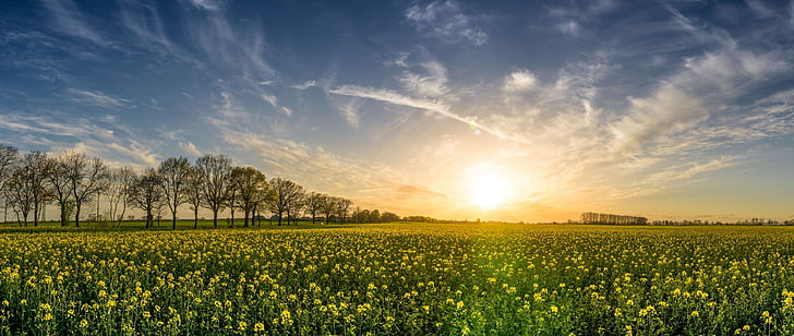 agriculture, bloom, blossom, clouds, countryside, dawn, farm, farming, farmland, field, flowers, grass, green, growth, landscape, nature, outdoors, panoramic, plants, rural, sky, spring, summer, sun, sunlight, sunrise, su, HD wallpaper
