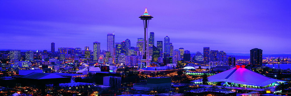 cityscape of space needle tower, american, american, Panoramas, American, Megalopolis, cityscape, space needle, needle tower, cityscapes, night, urban Skyline, architecture, famous Place, urban Scene, asia, downtown District, tower, city, skyscraper, illuminated, dusk, HD wallpaper HD wallpaper