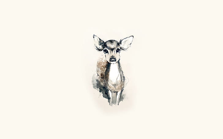 Deer Fawn White Drawing Background Pictures, black deer sketch, baby animals, background, deer, drawing, fawn, pictures, white, HD wallpaper