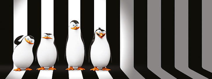 Pingwiny z filmu Madagaskar, ilustracja czterech pingwinów, kreskówki, Madagaskar, pingwiny, film, Tapety HD