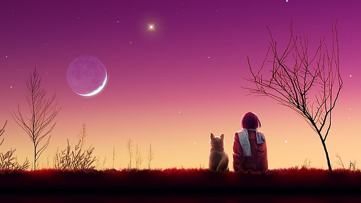 момиче, седнало до куче дигитален тапет, кагая луна, аниме, момиче, котка, залез, природа, HD тапет