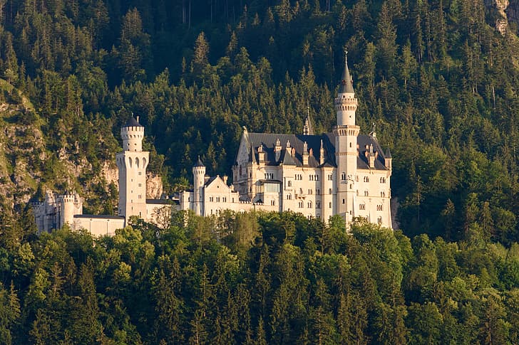 skog, träd, slott, Tyskland, Bayern, Bayern, Slottet Neuschwanstein, Schwangau, HD tapet