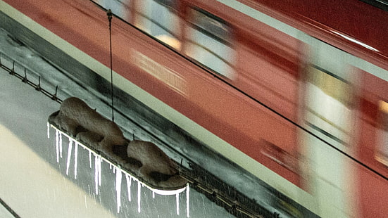 trem, estação ferroviária, HD papel de parede HD wallpaper