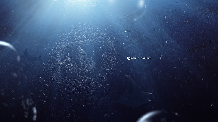 fond d'écran bleu sous-marin, Desktopography, raies manta, eau, mer, bulles, logo, Fond d'écran HD