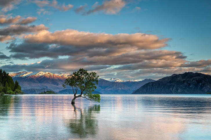 doğa, manzara, ağaçlar, Wanaka Gölü, Yeni Zelanda, göl, bulutlar, dağlar, kar, ufuk, yansıma, HD masaüstü duvar kağıdı