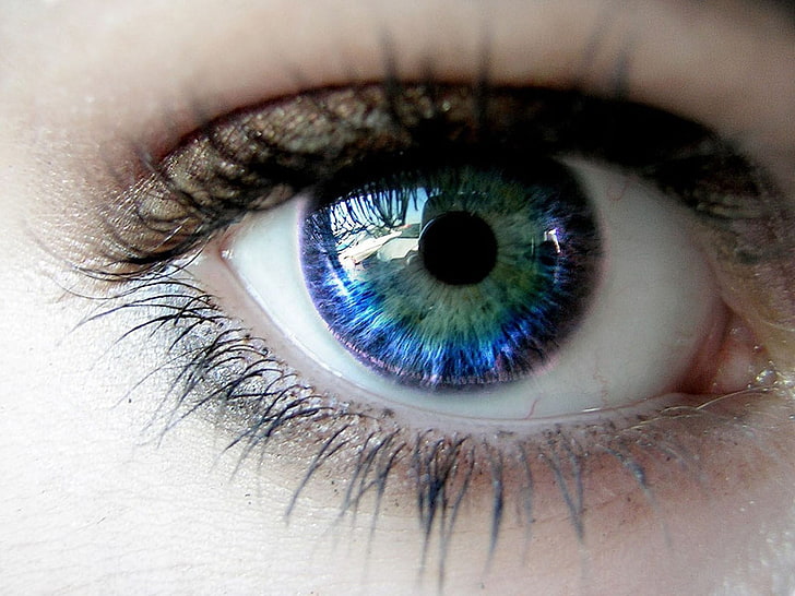 human eye, Eyes, Eyelashes, The pupil, HD wallpaper
