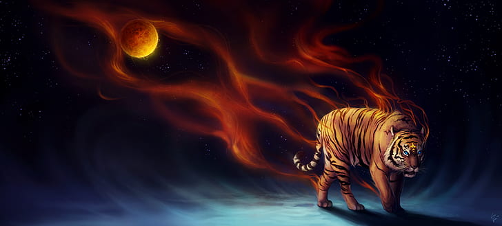 Kucing besar, 4K, Harimau, Wallpaper HD