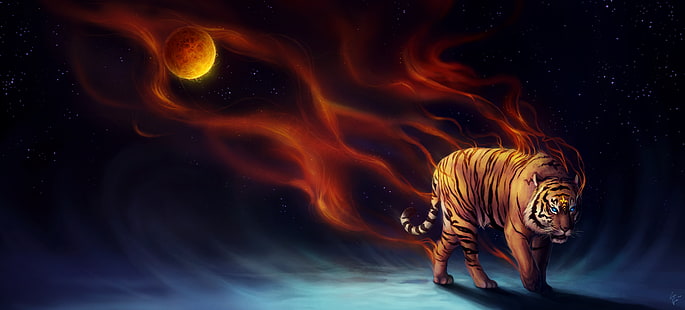 Große Katze, 4 K, Tiger, HD-Hintergrundbild HD wallpaper