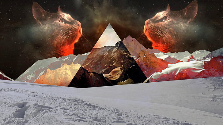 två bruna katter och bergskedjor illustration, två gråa katthuvuden foto, katt, natur, snö, polyscape, berg, triangel, digital konst, HD tapet