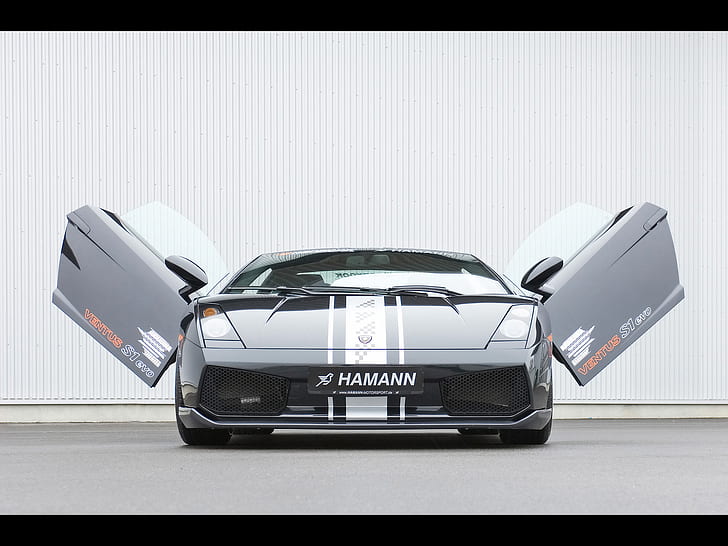 Lamborghini Edo Competition Gallardo LP600-4, hamann lambo glldo_hr_manu, автомобиль, HD обои