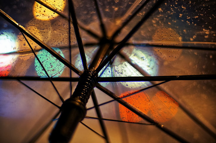 makro, transparan, hujan, payung, Wallpaper HD