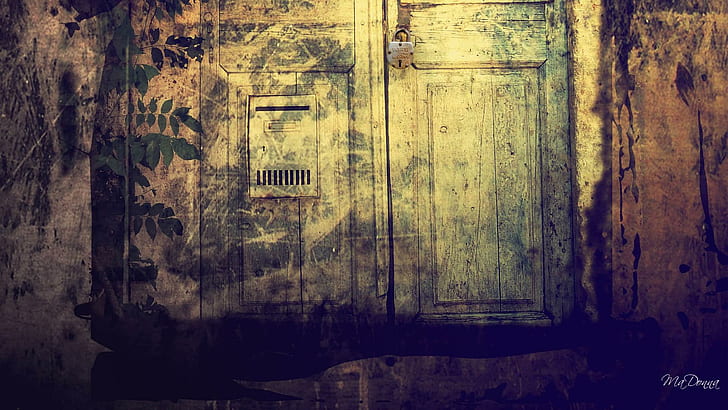 Old Locked Doorway, ประตู, วินเทจ, โบราณ, ผนัง, ล็อค, สัตว์, วอลล์เปเปอร์ HD