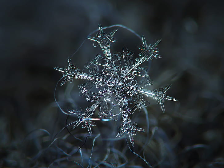 fotografía macro de copo de nieve, copo de nieve, fotografía macro, naturaleza, invierno, navidad, fondos, Fondo de pantalla HD