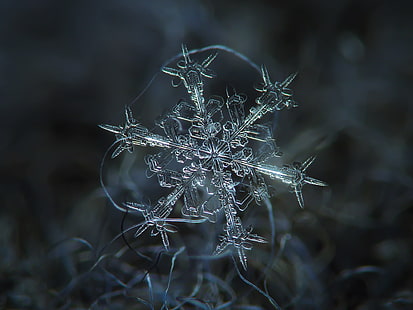 macro photography of snowflake, snowflake, macro photography, nature, winter, christmas, backgrounds, HD wallpaper HD wallpaper