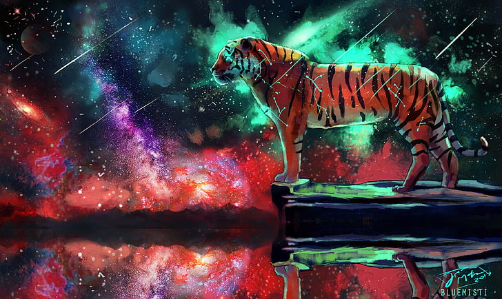 tiger 4k pictures for computer, HD wallpaper