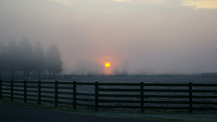 Horse Ranch In Evening Fog, ranch, horses, fences, sunset, nature and landscapes, HD wallpaper