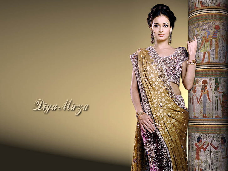 Diya Mirza em Colorfull Saree, vestido sari marrom e cinza com sobreposição de texto, celebridades femininas, Diya Mirza, celebridades de bollywood, saree colorido, HD papel de parede