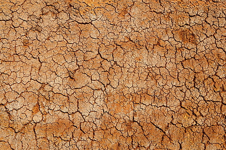 마른 토양 벽지, 사막, 질감, 균열, 코르크, 점토, HD 배경 화면 HD wallpaper