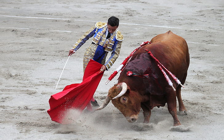 Matador Bullfight, HD wallpaper