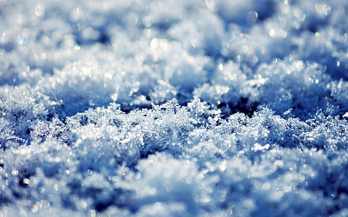 снежни люспи, сняг, макро, HD тапет HD wallpaper
