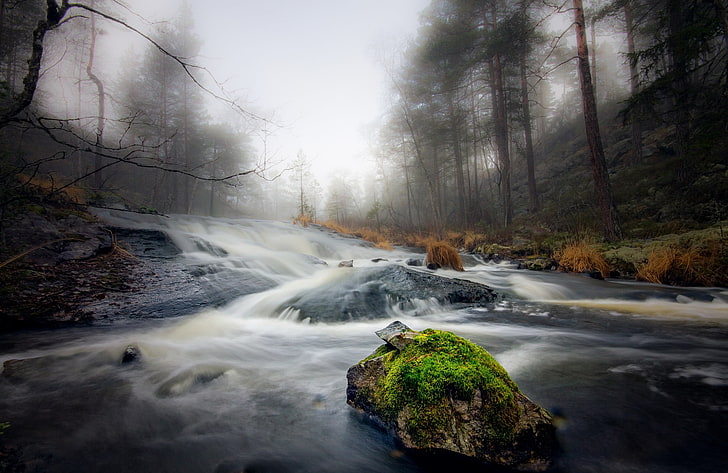 Zeitrafferfotografie des Flusses, umgeben von Bäumen, Fluss, Natur, Wasser, Bäume, HD-Hintergrundbild