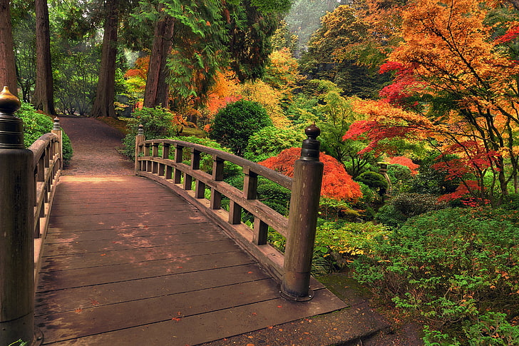 brown wooden bridge, autumn, leaves, trees, flowers, bridge, nature, Park, colors, colorful, beautiful, HD wallpaper