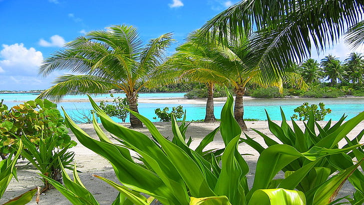 Bora Bora Resort Polinesia Selatan 324641, Wallpaper HD