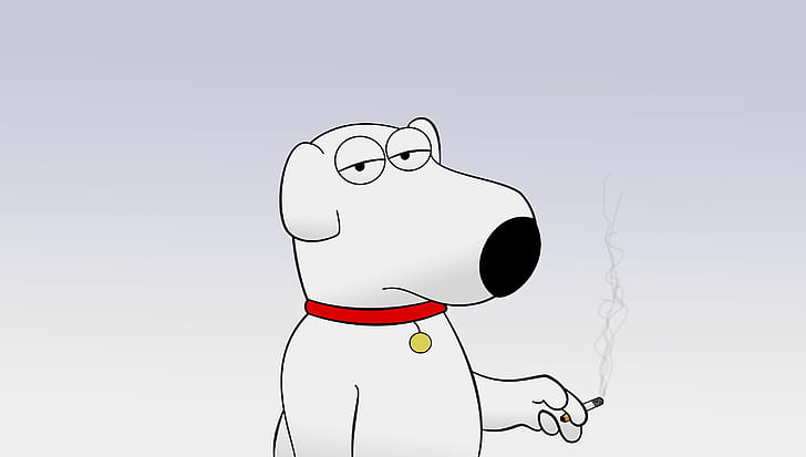 Série télévisée, Family Guy, Brian Griffin, Fond d'écran HD