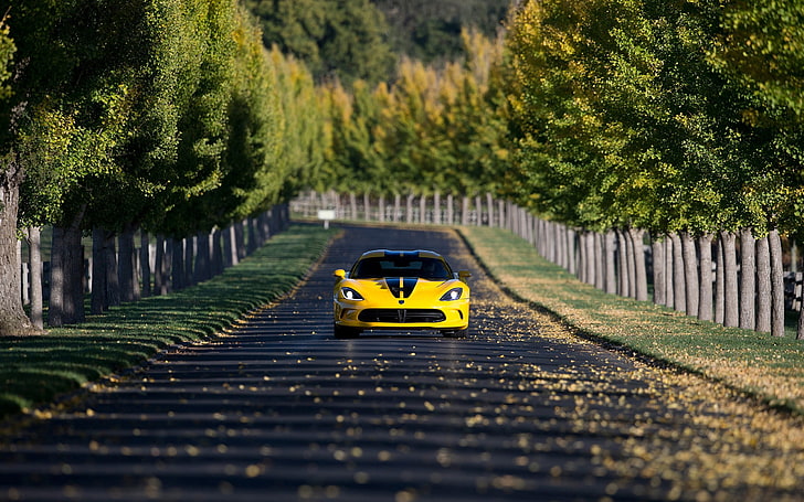 yellow sports car, Dodge Viper, car, yellow cars, road, trees, depth of field, vehicle, HD wallpaper