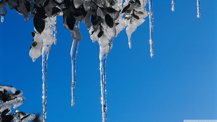 Icicles Winter Ice Frozen Blue HD, природа, синьо, зима, лед, замръзнал, ледени висулки, HD тапет