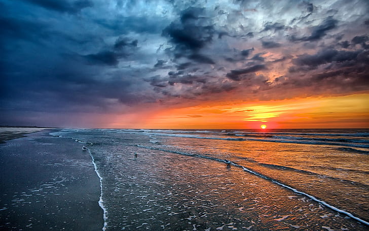 Sunset, sea, beach, coast, waves, birds, nimbus clouds, Sunset, Sea, Beach, Coast, Waves, Birds, HD wallpaper