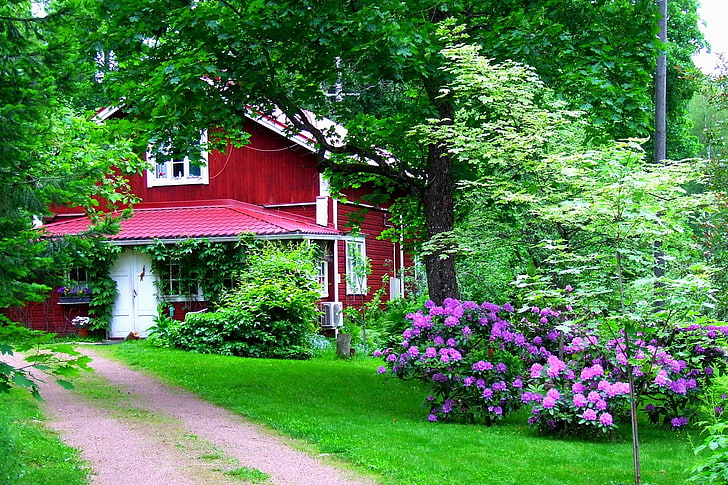 pink petaled flowers, house, garden, yard, flowers, green, door, HD wallpaper