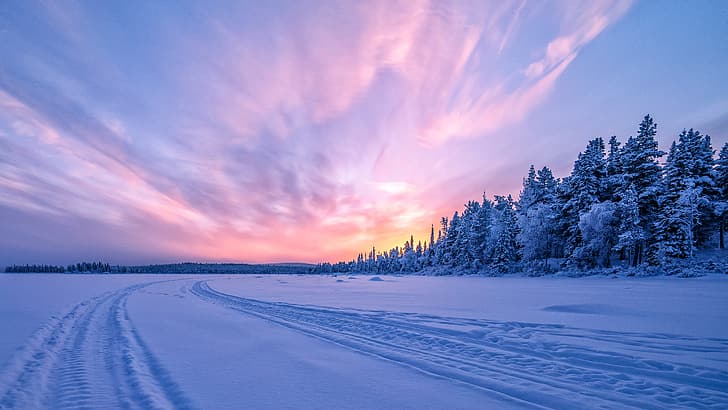 winter, forest, snow, sunset, Sweden, замёрзшая река, Torne River, Река Турнеэльвен, HD wallpaper