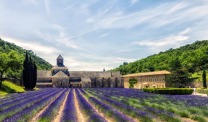 rumah beton hitam dan krem, pohon, bunga, Prancis, lereng, hdr, lavender, Provence, Bangga, senanque Abbey, Wallpaper HD