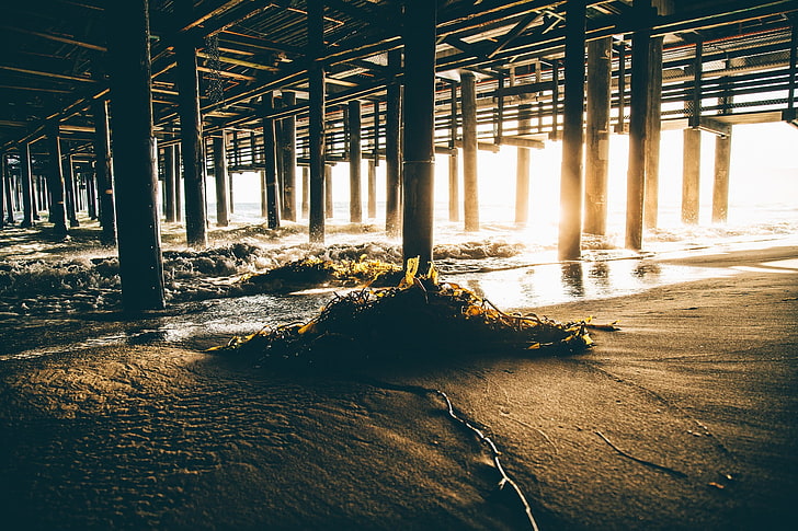 spiaggia, California, tramonto, luce solare, alghe, molo, sabbia, Sfondo HD
