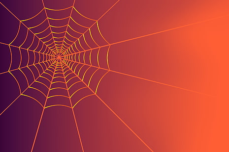 sarang laba-laba, seni, garis, pleksus, Wallpaper HD HD wallpaper