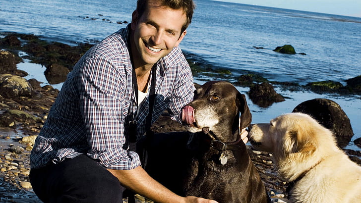 Bradley Cooper Sea Side, actor, dogs, happy, smile, HD wallpaper