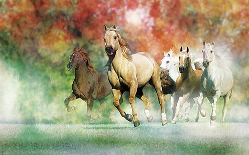Galloping Horses для обоев для рабочего стола 2560 × 1600, HD обои HD wallpaper