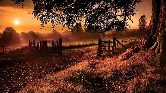 staket, gård, solnedgång, landsbygd, träd, kväll, landskap, HD tapet HD wallpaper