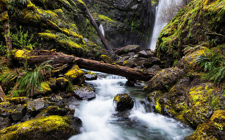 Jungle Gorge waterfall river moss 4K Ultra HD Phot.., HD wallpaper