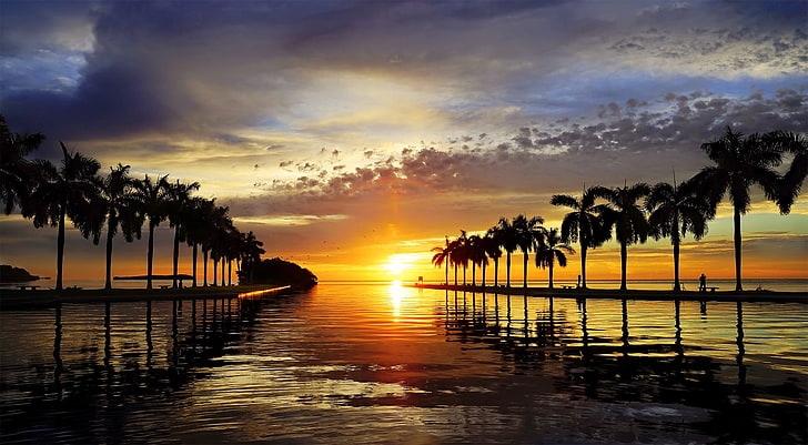 sunset, beach, sky, sunlight, palm trees, clouds, HD wallpaper