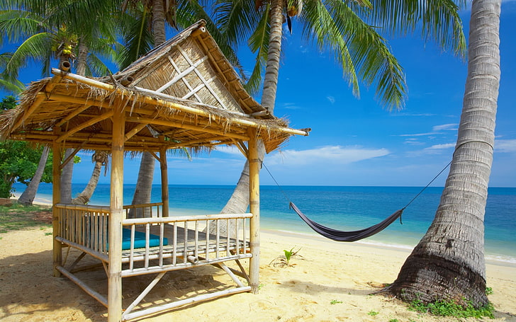 кафява бамбукова хижа, плаж, небе, палми, море, хамак, плаж, море, HD тапет